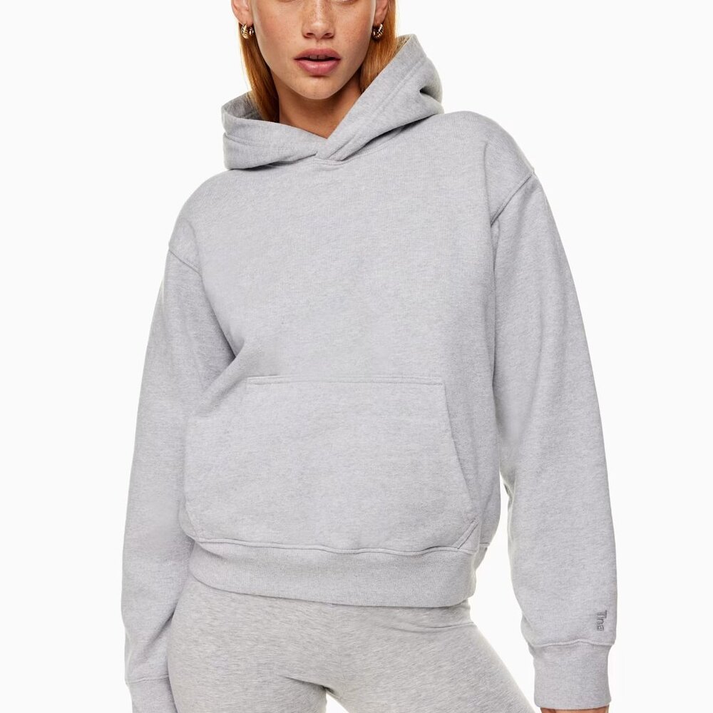 Aritzia Tna COZY Perfect Hoodie